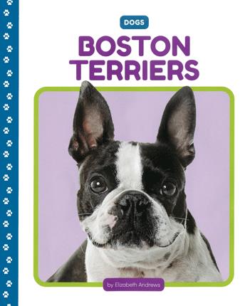 Boston terriers