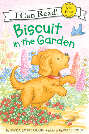 Biscuit in the garden