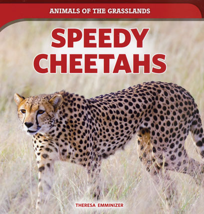 Speedy cheetahs