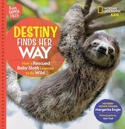 Destiny finds her way : how a rescued baby sloth learned to be wild