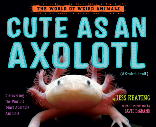 Cute as an axolotl : discovering the world's most adorable animals