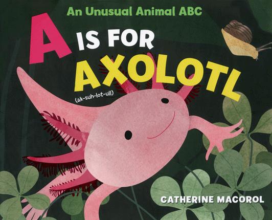 A is for axolotl : an unusual animal ABC