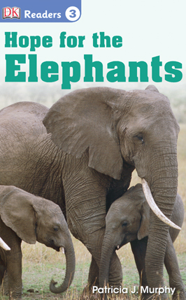 Hope for the elephants