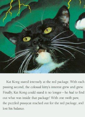 Kat Kong [Book]