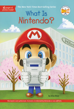 What is Nintendo?